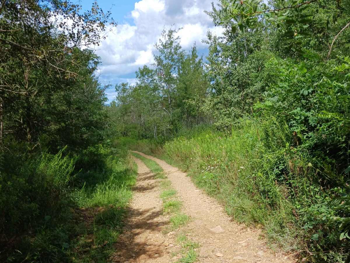 Hop Run - Rock Run Recreation Area photo 2