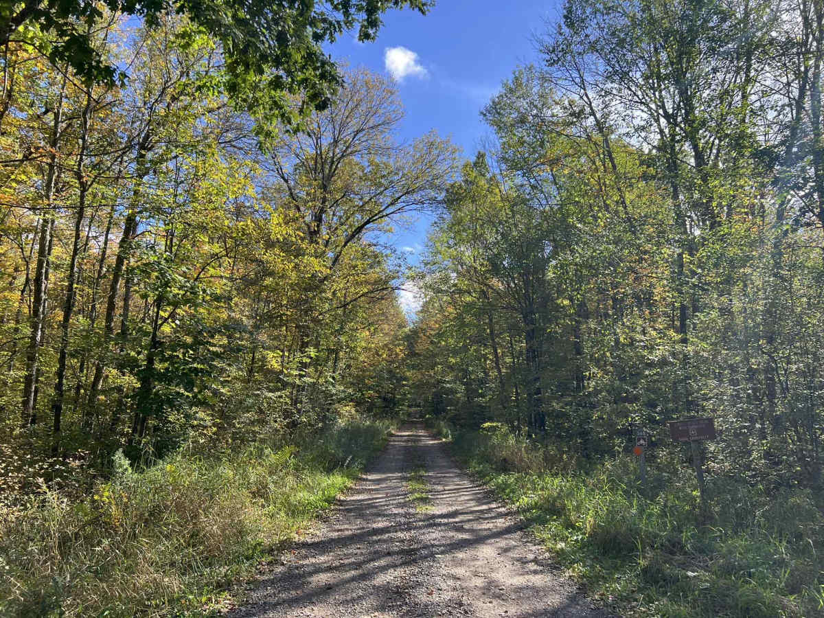 FS 568 trail photo