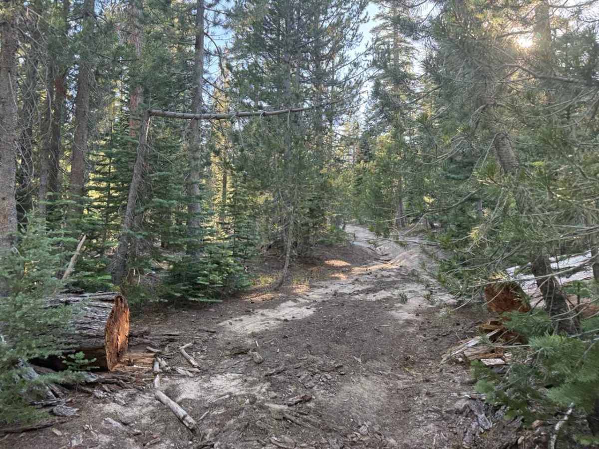 Blue Basin Road - FS 31096 photo 5