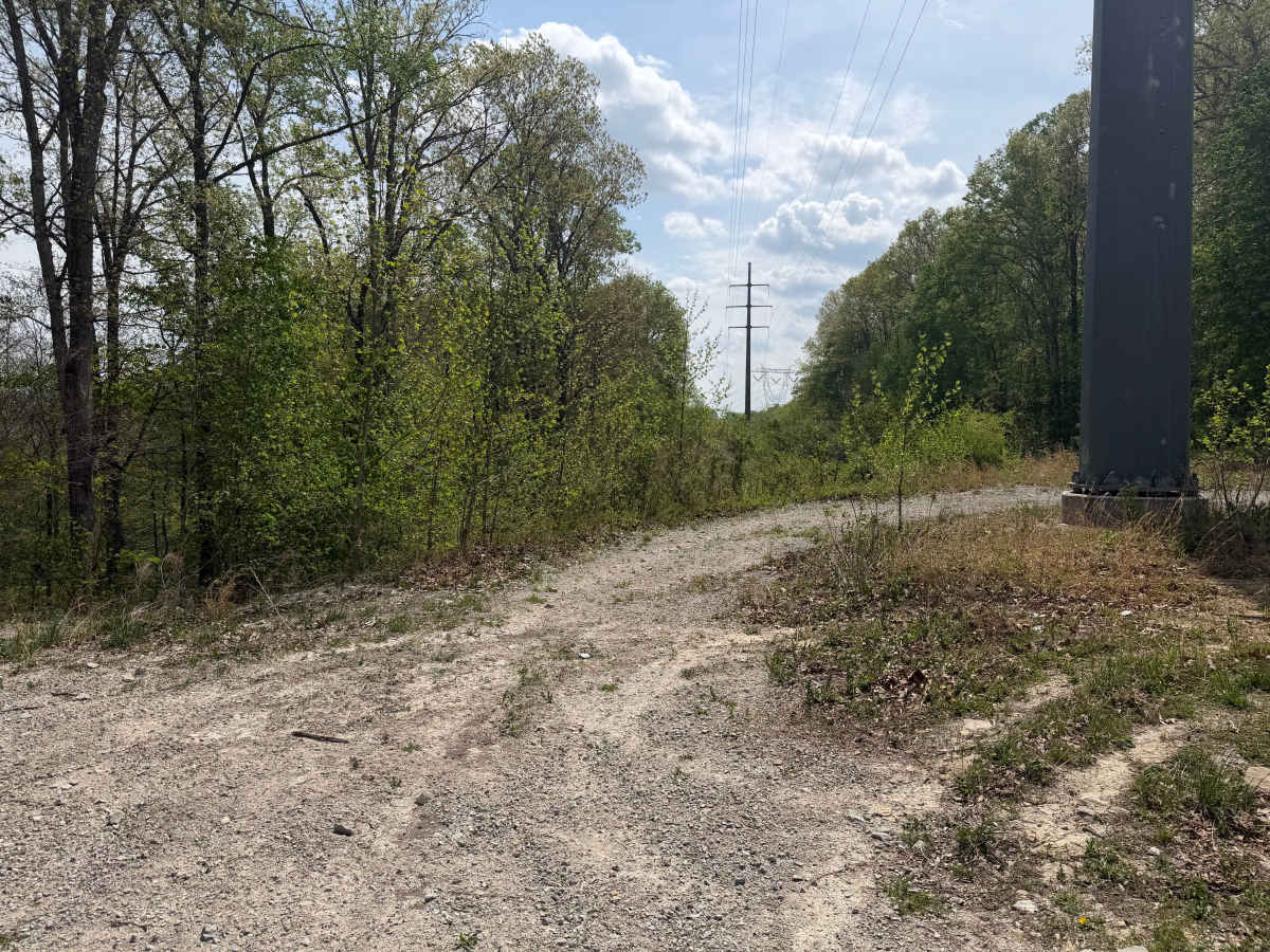 Powerline Trail photo 3