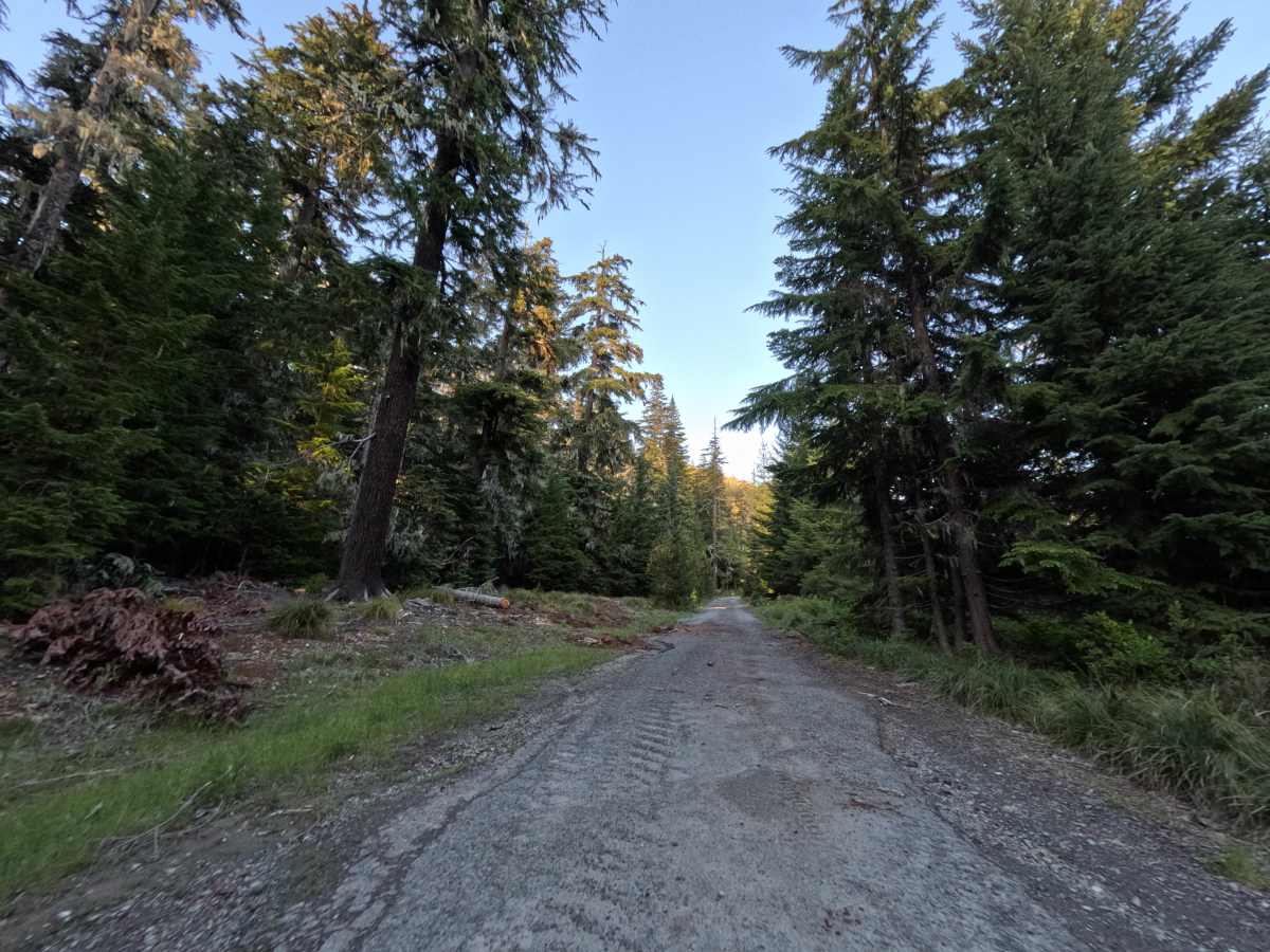 Frog Lake Butte - FS 2610-220 photo 2