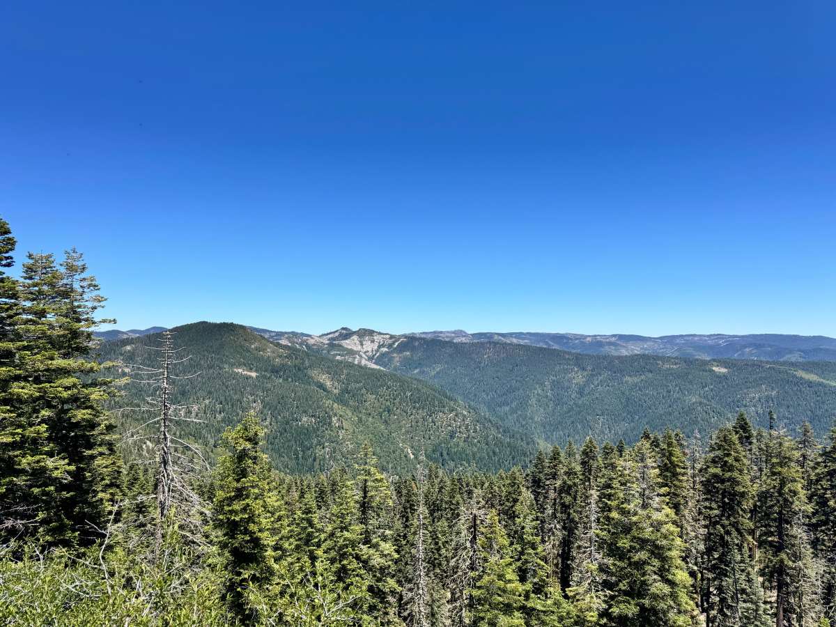 Saddleback Lookout - FS 25 photo 6