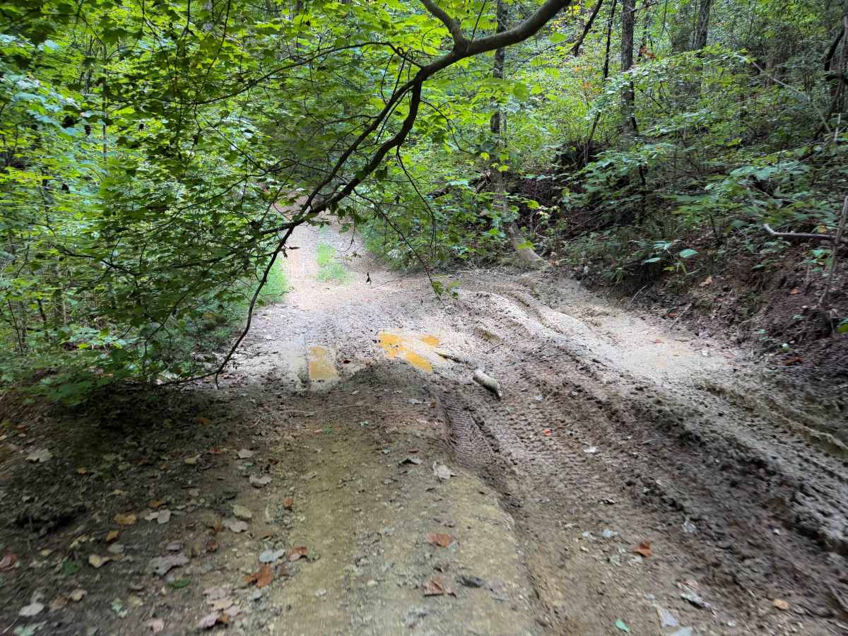 Gibson Knob Trail 15   photo 3