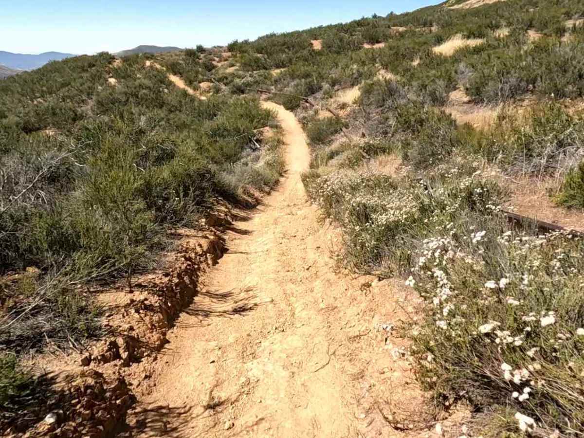 Knob OHV Trail photo 6