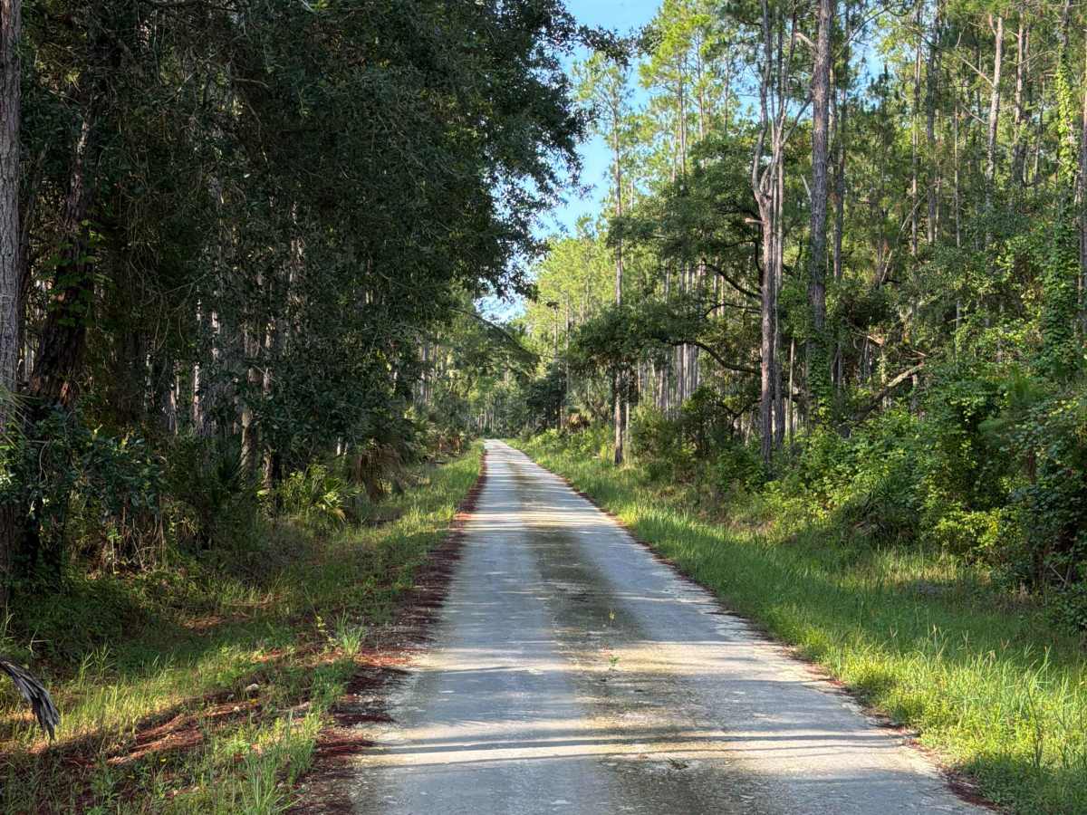Check Station Road trail photo