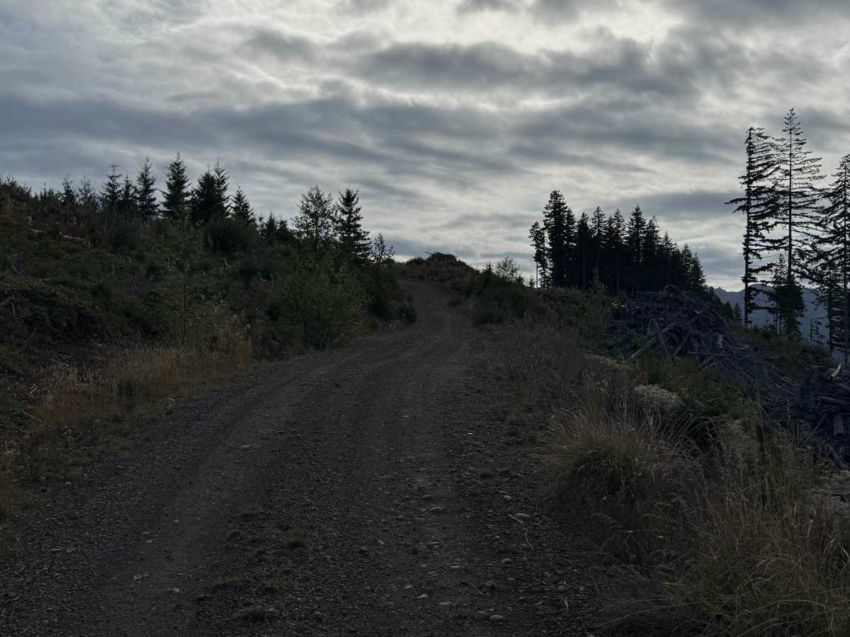 DNR Road 1263 photo 6