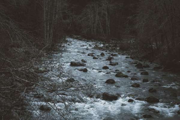 North Fork Road