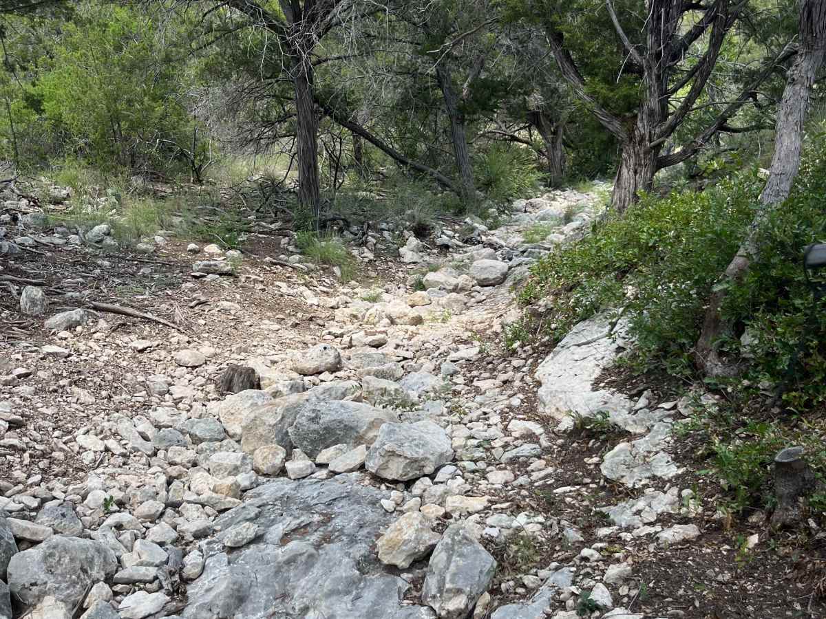 Artie's Revenge - V11 photo 5
