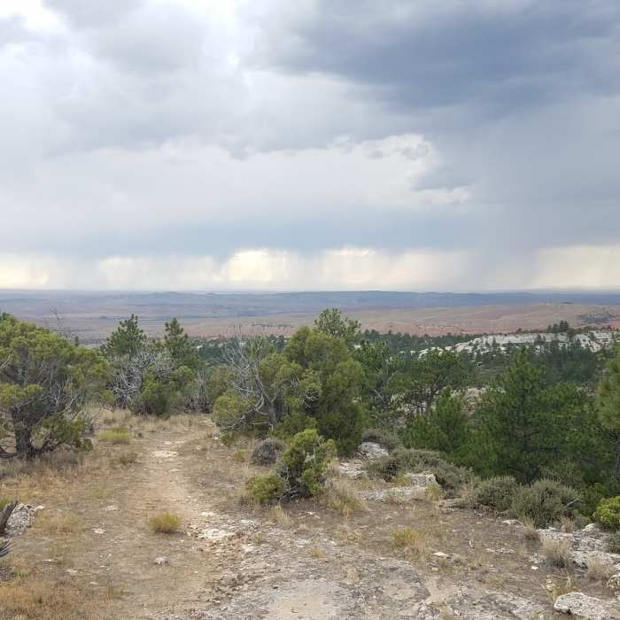 Near Salt Lick Loop Trail