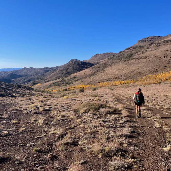 Near Ten Cent Meadow