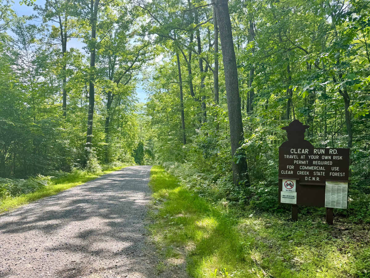 Clear Run Road photo 2