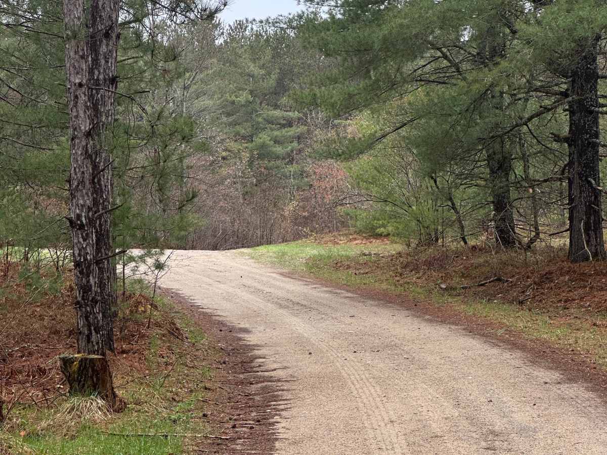 Kolke Creek Trail photo 3