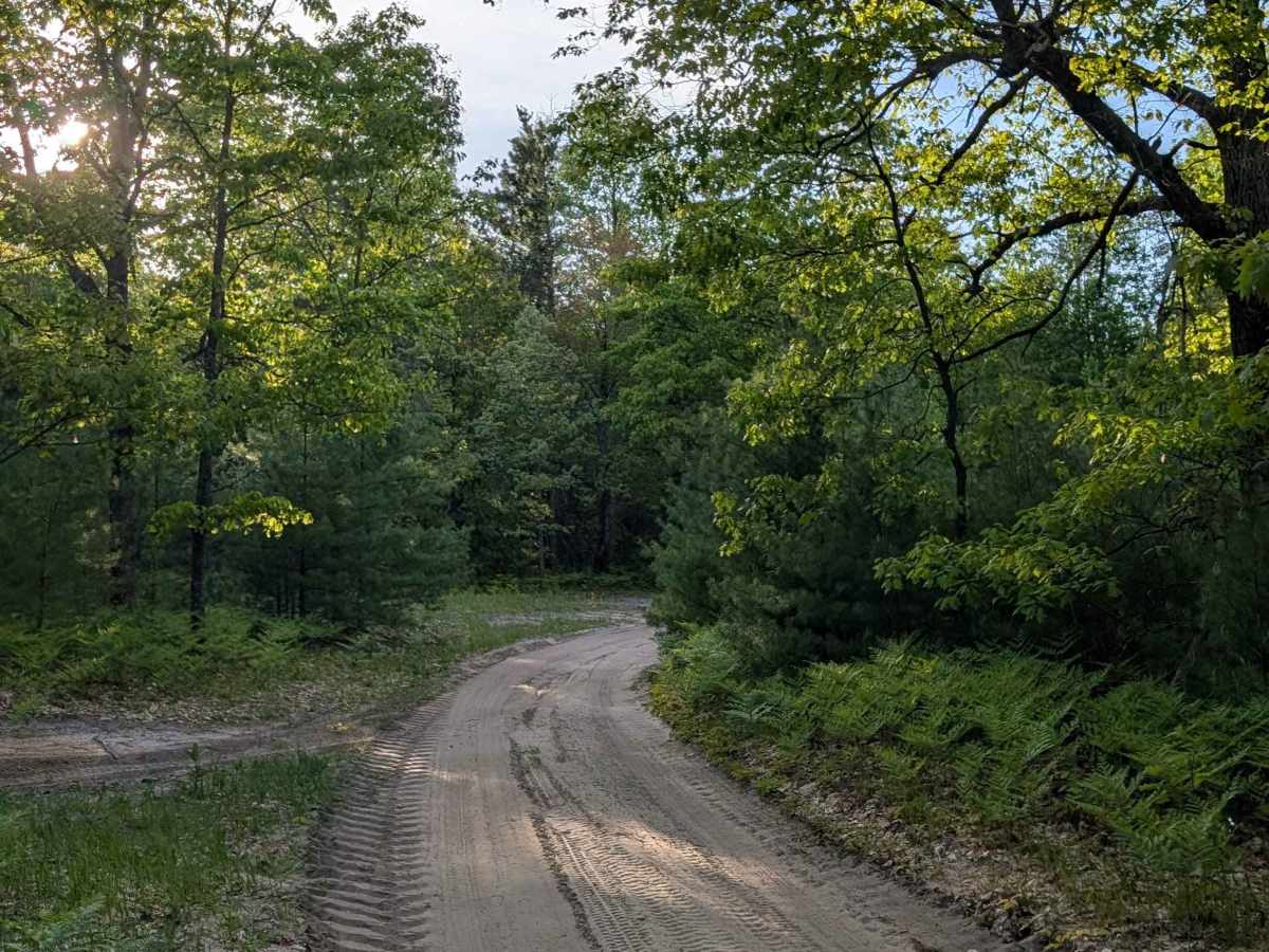 Little Canyon Creek Road photo 3