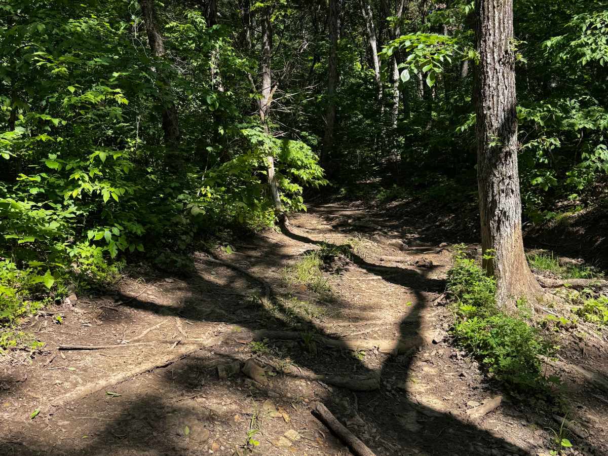 Trail Cut Thru photo 3