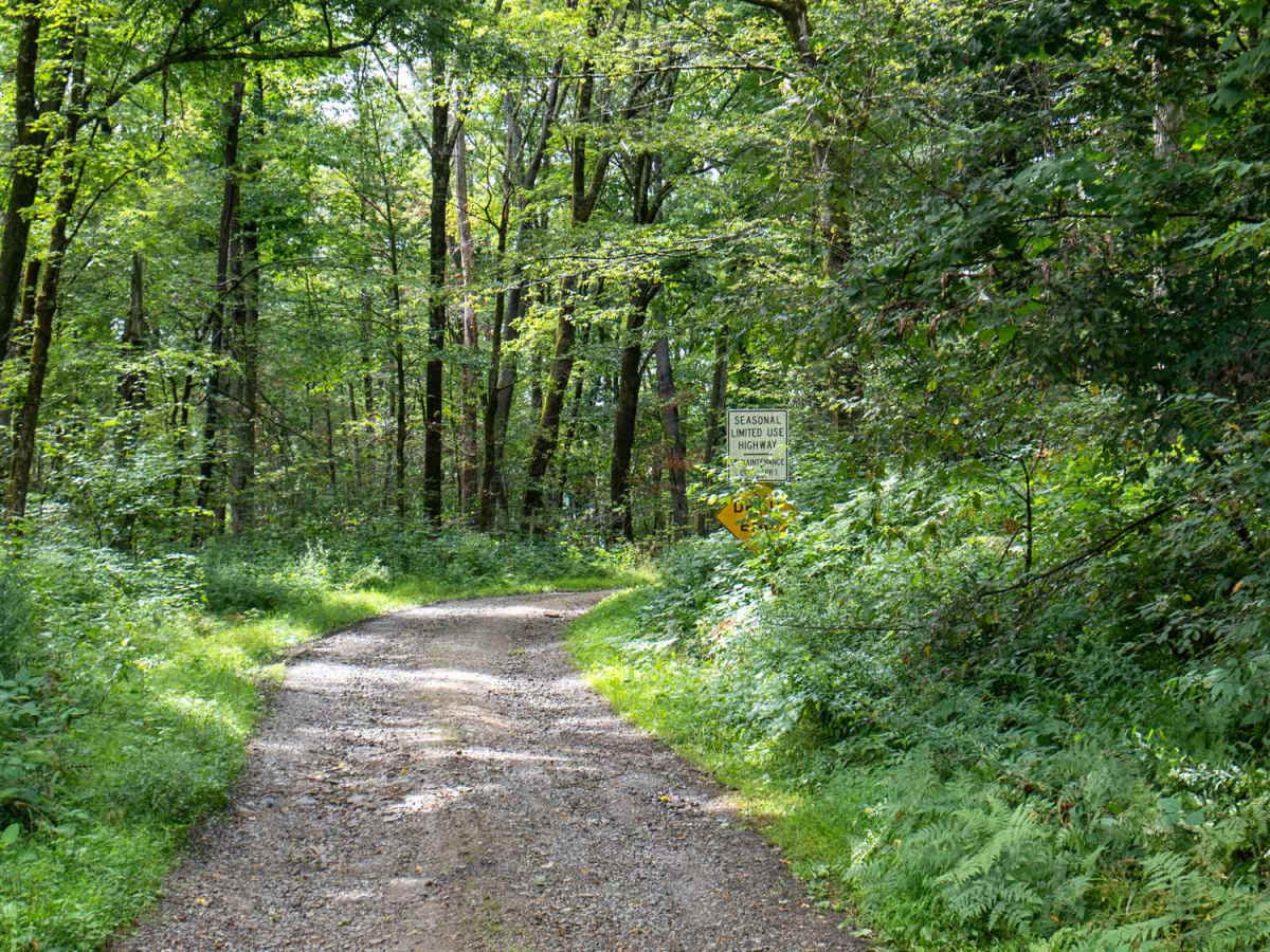 Bay State Road photo 2
