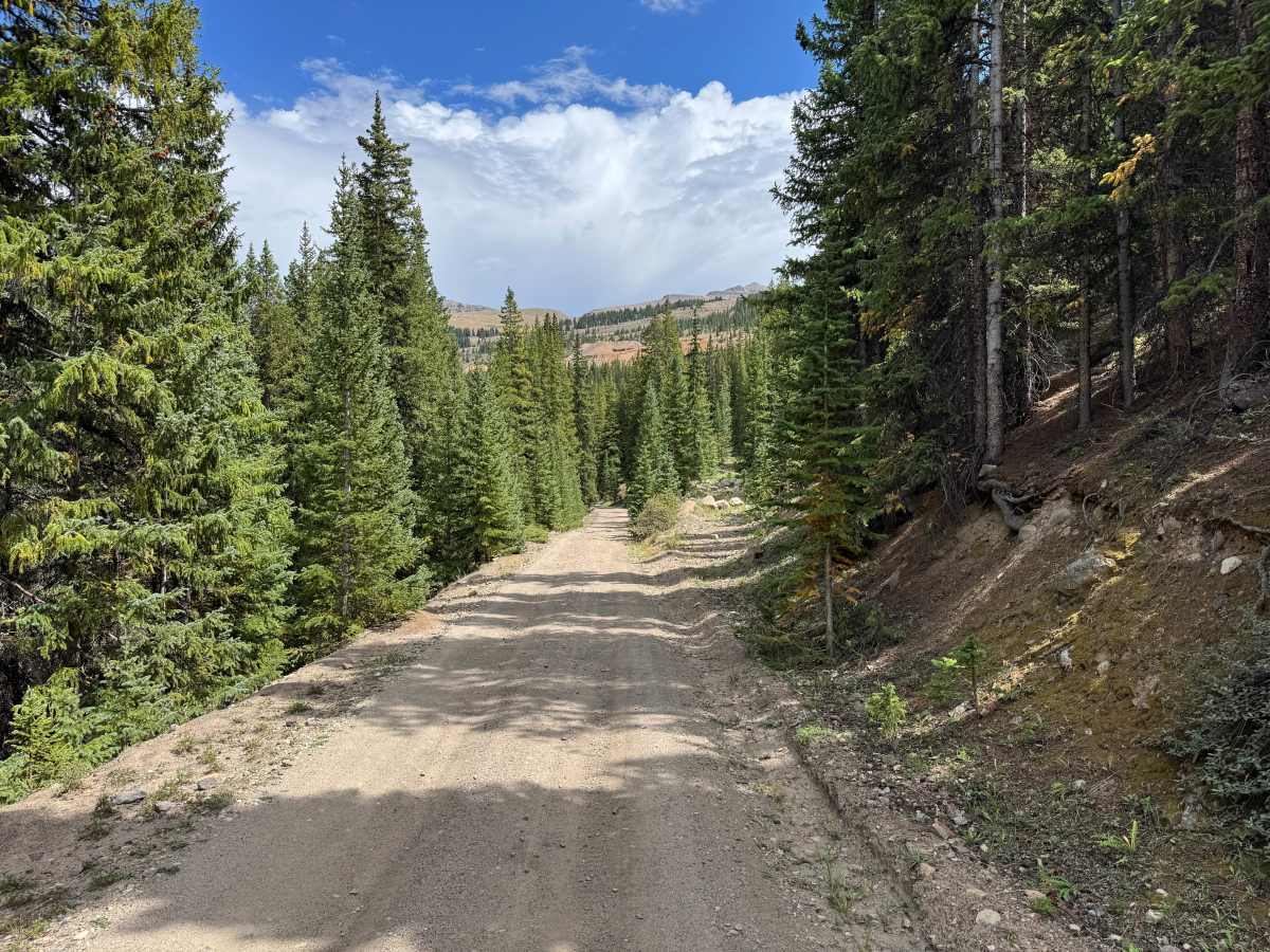 Lake County Road 3b photo 3
