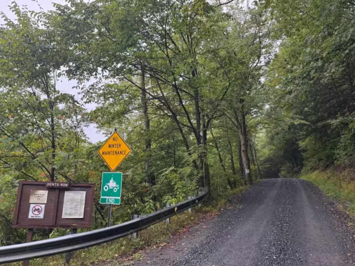Dents Run Road trail photo
