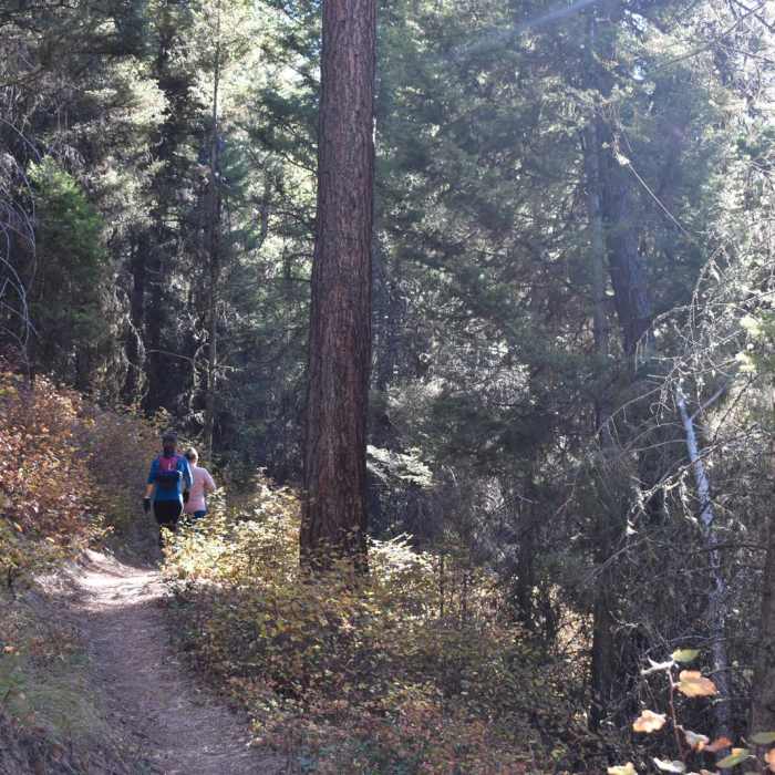 Near Ravine Creek Trail