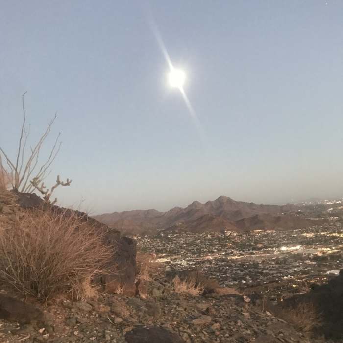 Near North Top Summit