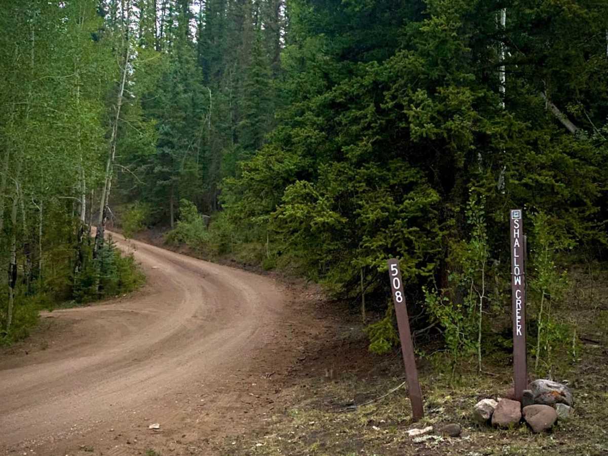 Shallow Creek - NF 508 photo 6