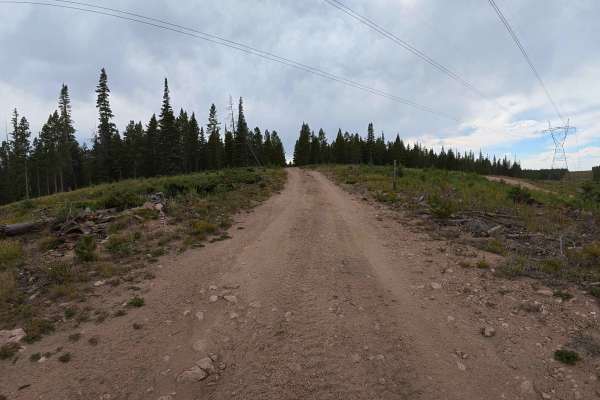 Sawmill Road - FS 241