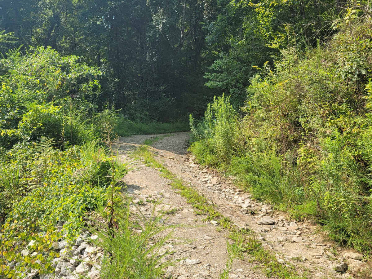 USFSR 585 photo 6