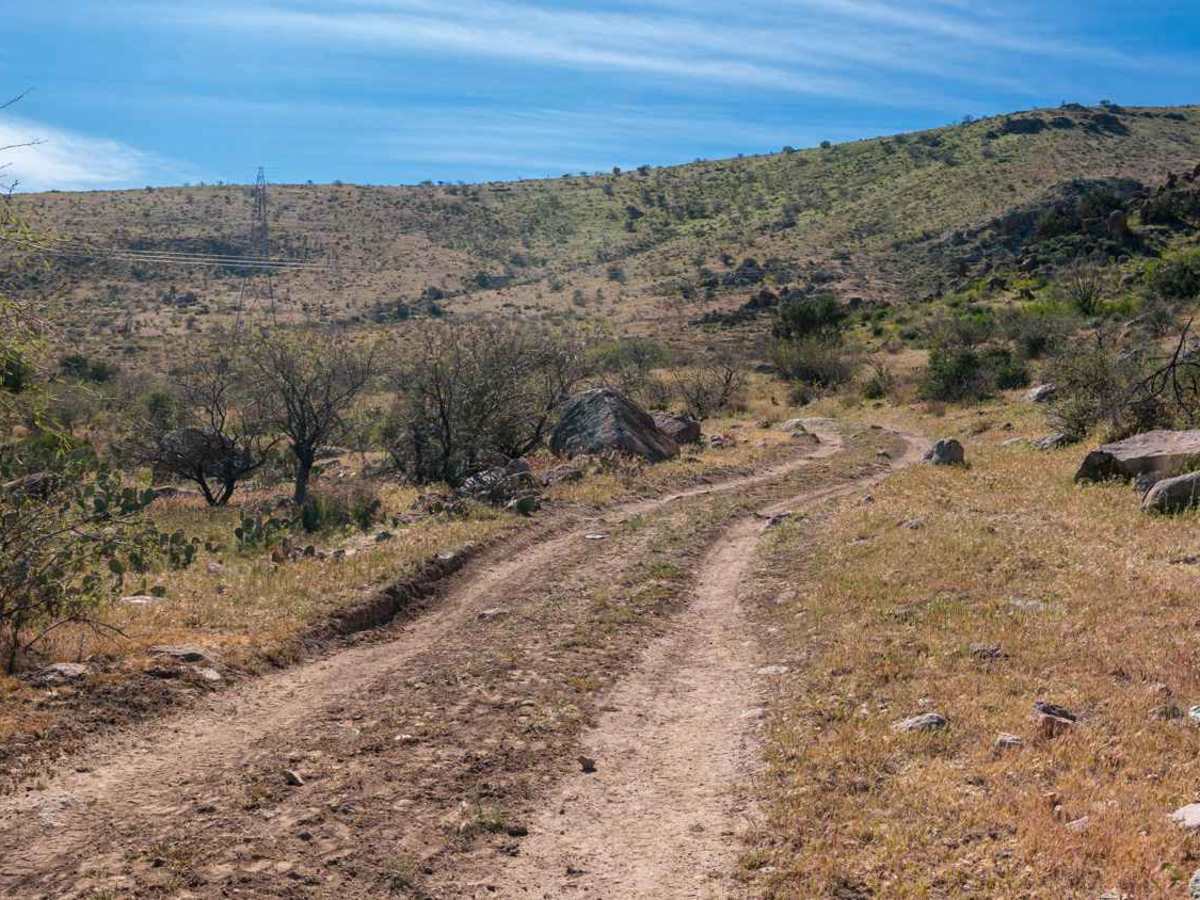 Black Mesa - FS 3271 photo 2