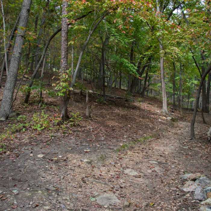 Near Eno River Loop + Overlook Near Eno River Loop + Overlook