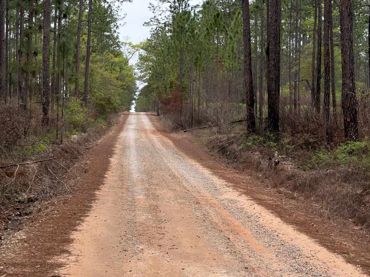 Coldwater Horse Trail trail photo