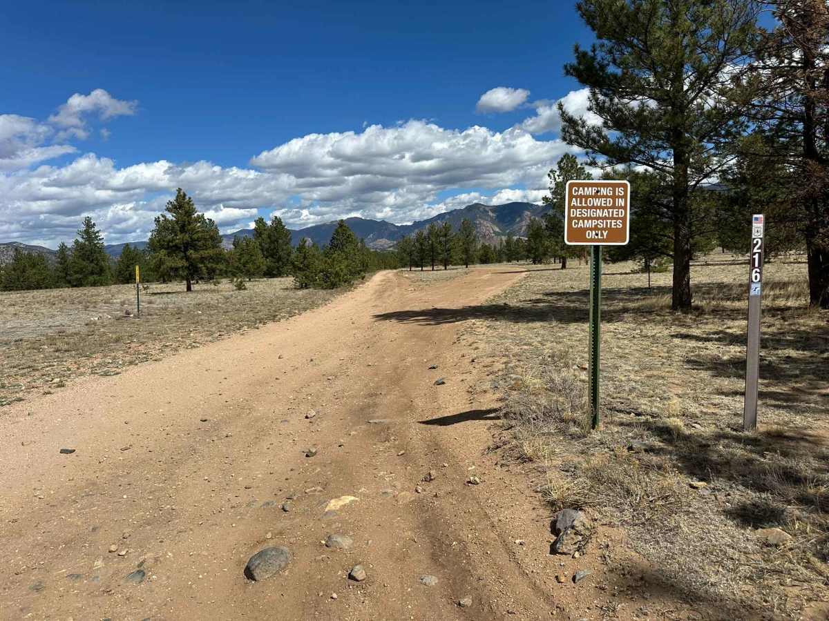 Boomer Road trail photo