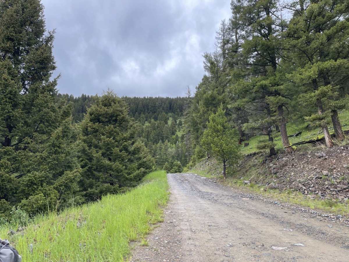 Upper Cave Gulch Road photo 3