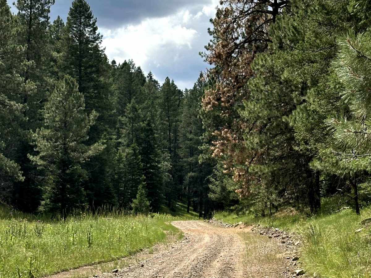 Spring Canyon trail photo