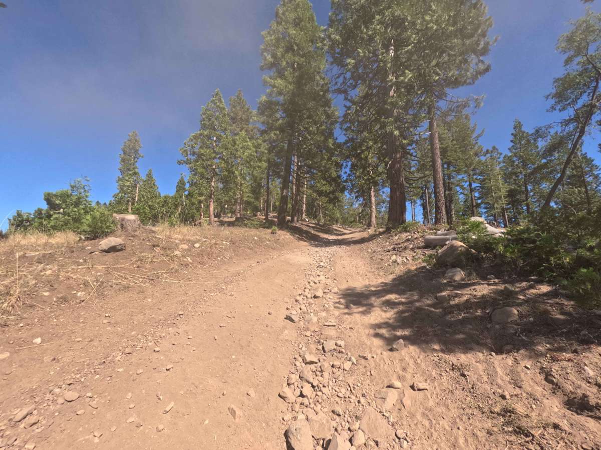 Buck Ranch - FS 6N09 photo 5