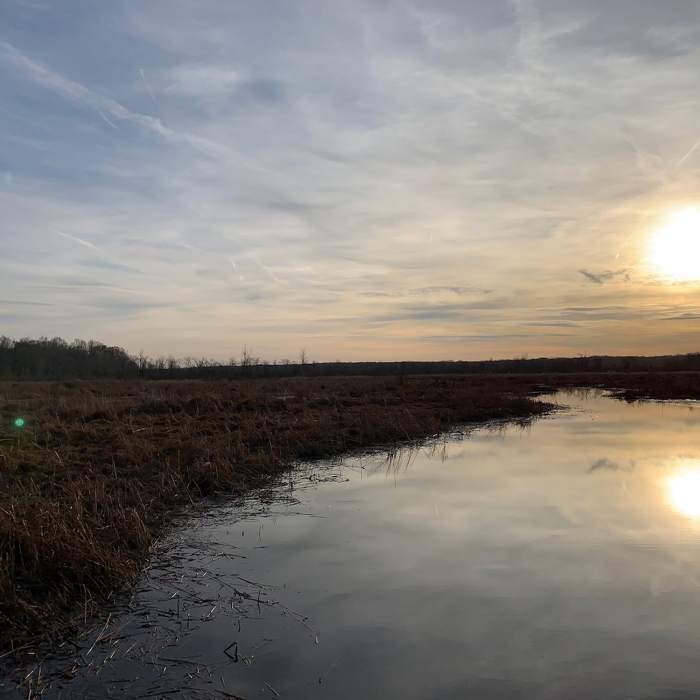 Looking southwest from the small pier Near Orange Loop