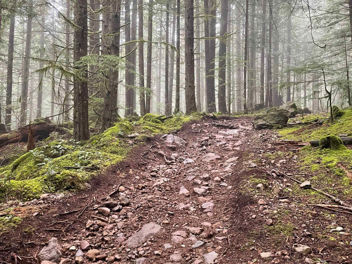 Ring Creek Ridge trail photo