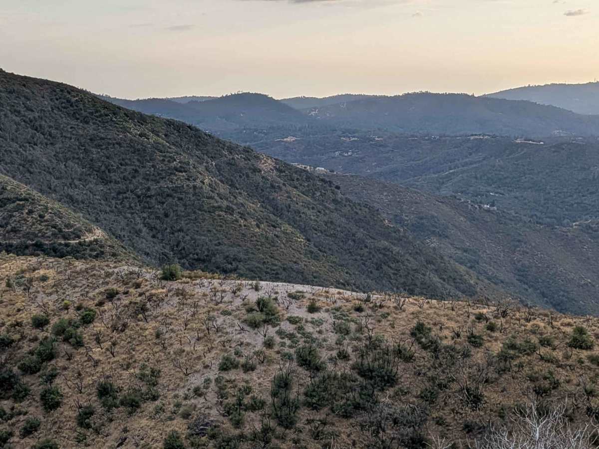 Buffalo Gulch Road photo 5