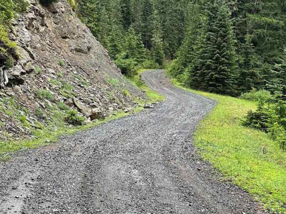 Stampede Ridge - FS 5400 photo 3