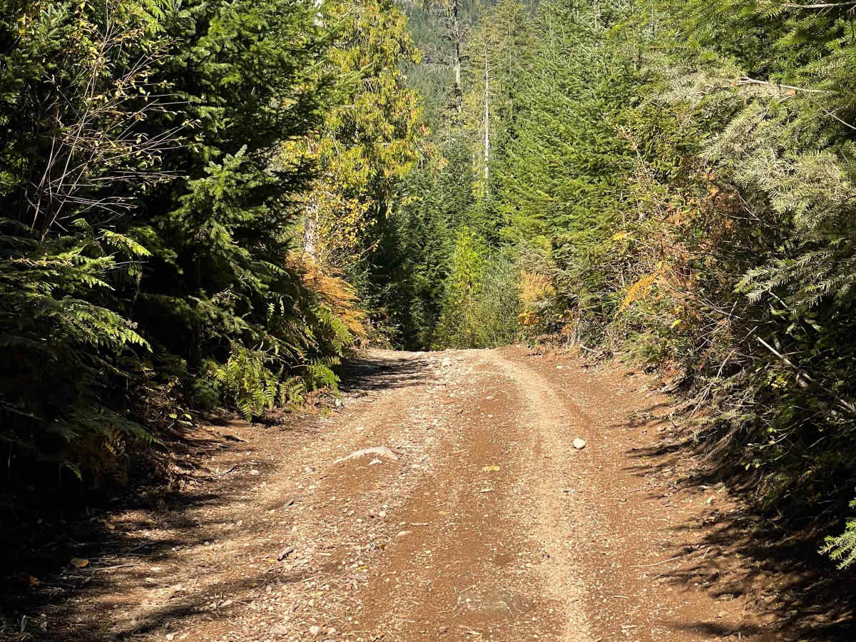 Skidder Hill photo 2