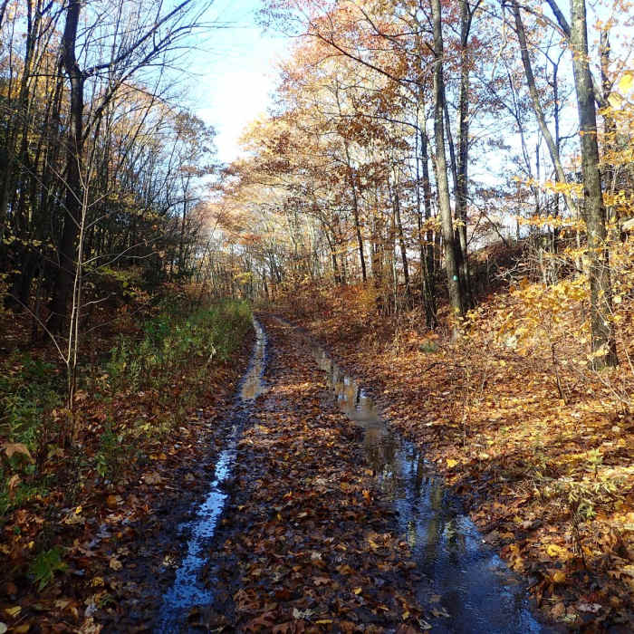 Near Shawangunk Ridge Trail: Graham Mountain Section Near Shawangunk Ridge Trail: Graham Mountain Section