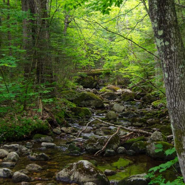 Near Rocky Falls Near Rocky Falls