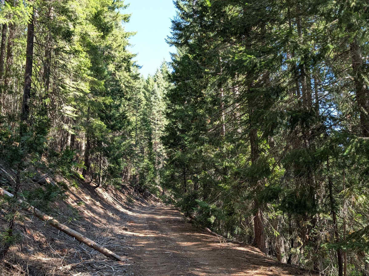 Dead Horse Canyon - FS 40N10 photo 4