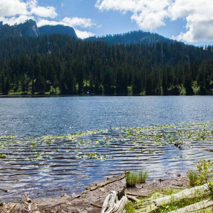 Near Bear + Deer Lakes