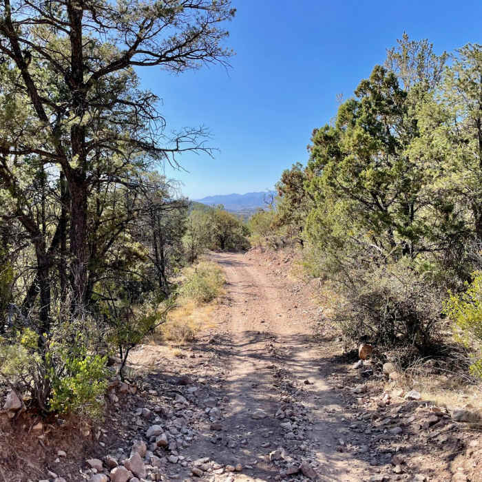 Near Continental Divide Trail: Gila River Alternate (Part 1)