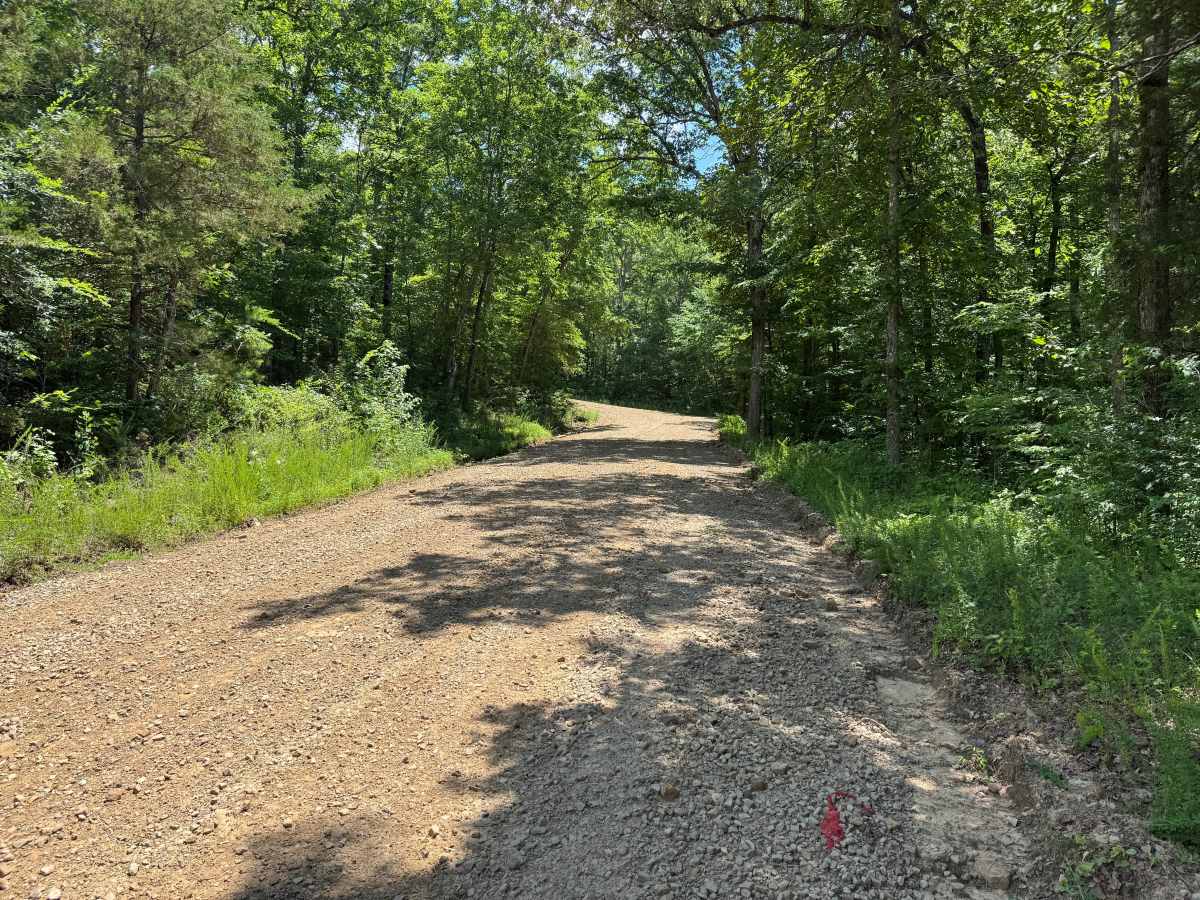 Oark Road photo 5