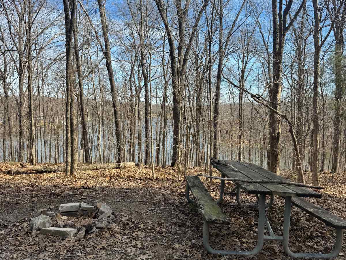 Lake Of Egypt Campground Drive - FS 871A photo 3