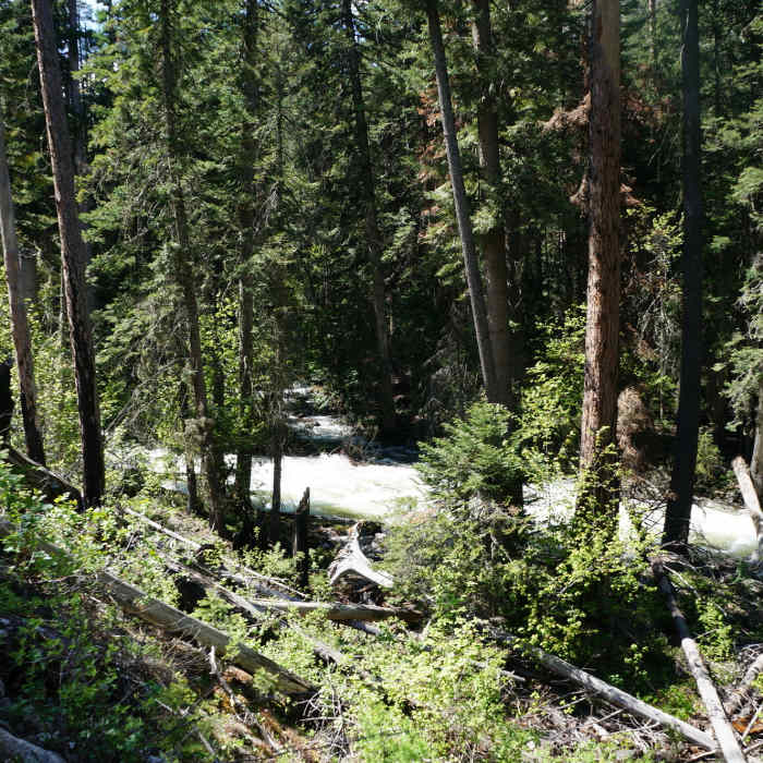 Near Bear Creek Falls