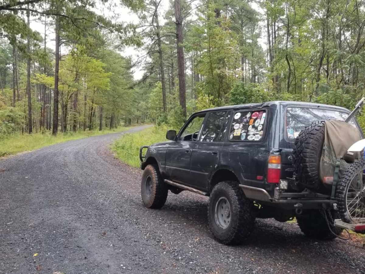 829 Road, Kisatchie NF photo 2
