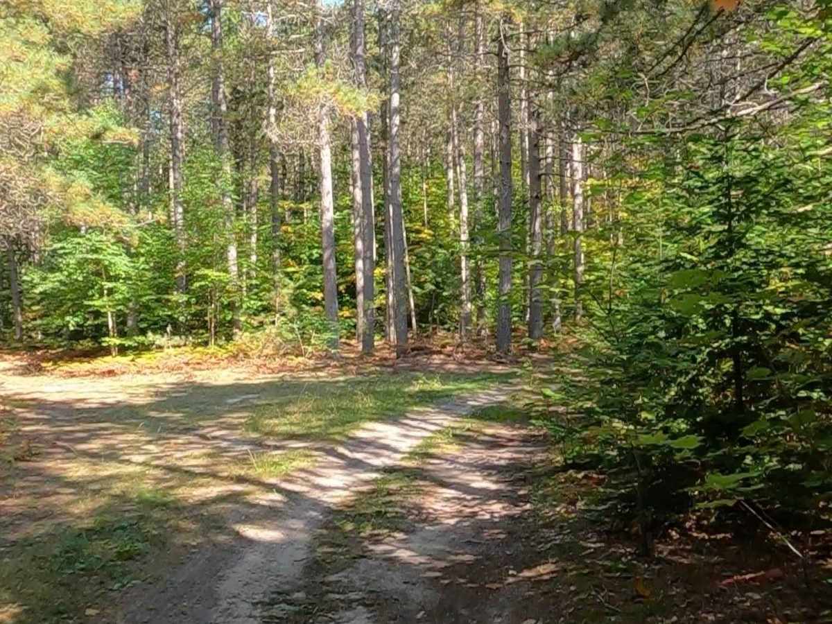 27 Mile Road - FS 3704 photo 4