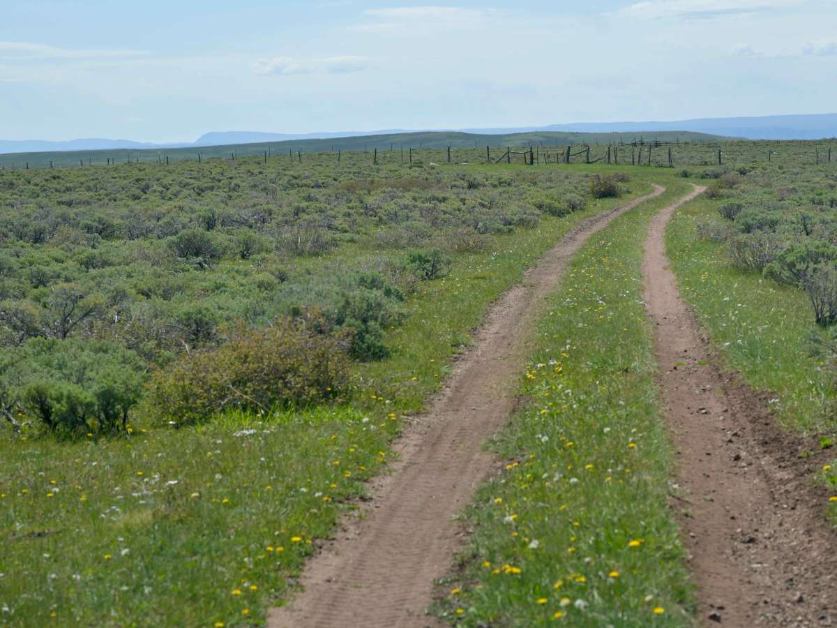 Bassett Creek - FS 10579 photo 6