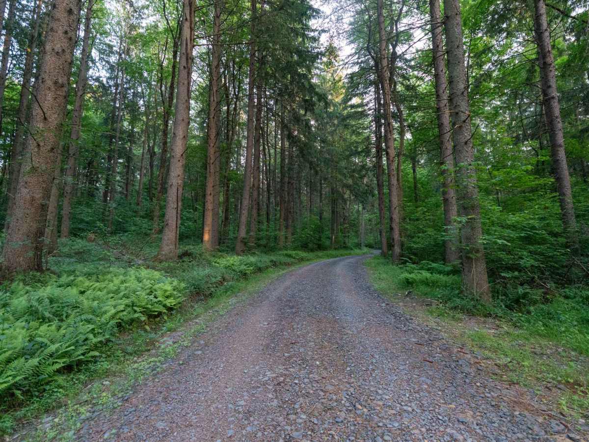 Truck Trail 14 photo 3